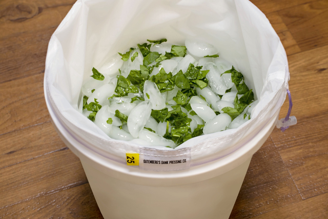 Gutenberg's Bubble Bag | 220µm | 20-Gallon | Individual