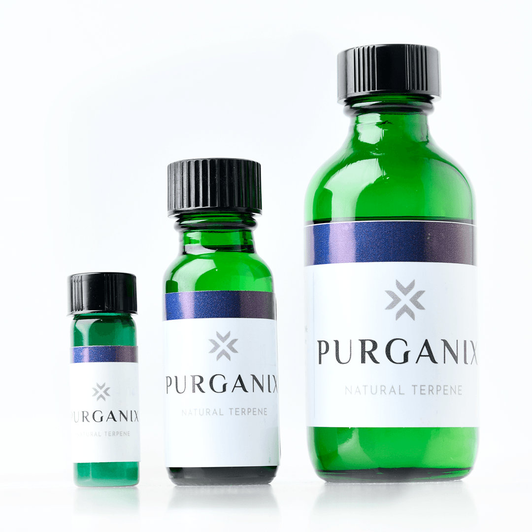 Blackberry - Natural Terpene - Xtractor Depot