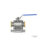 Encapsulated Tri-Clamp Ball Valves SS304