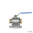 Encapsulated Tri-Clamp Ball Valves SS304