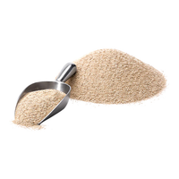 Carbon Chemistry ZeoClear L Fine Remediation Powder