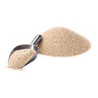 Carbon Chemistry ZeoClear L Fine Remediation Powder