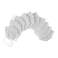 KN95 Face Masks