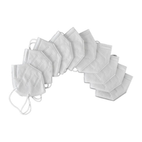 KN95 Face Masks