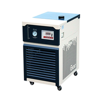 Ai -30°C 17L Recirculating Chiller with 20L/Min Centrifugal Pump