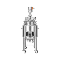 A.I. SR100 100L Stainless Steel Reactor with Pneumatic Stirring Motor