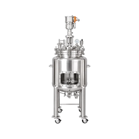 A.I. SR100 100L Stainless Steel Reactor with Pneumatic Stirring Motor