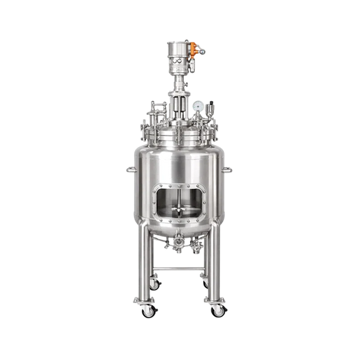 A.I. SR100 100L Stainless Steel Reactor with Pneumatic Stirring Motor