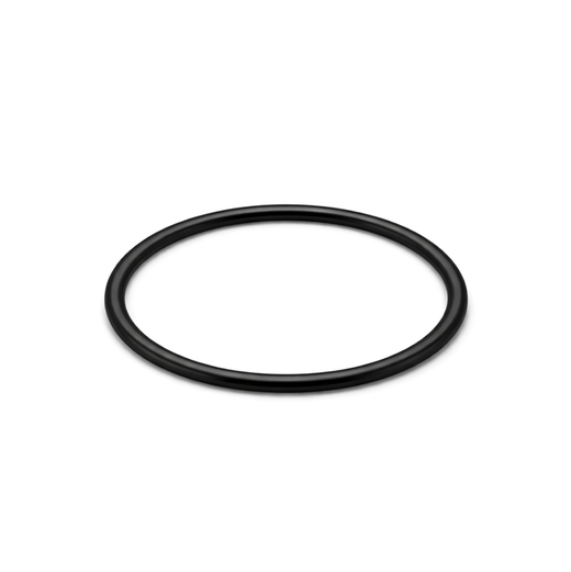 60-Gallon Reactor FKM Gasket - Small