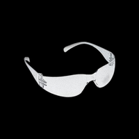 Clear Safety Glasses