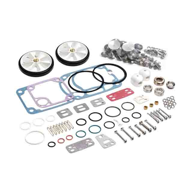 Rebuild Kit for Vacuubrand RZ6