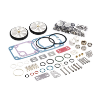Rebuild Kit for Vacuubrand RZ6
