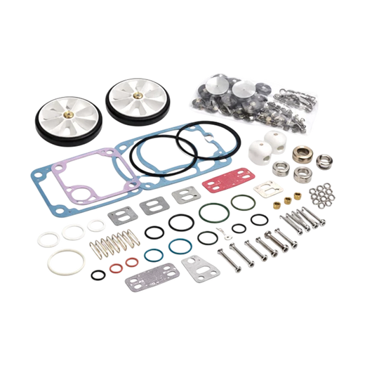 Rebuild Kit for Vacuubrand RZ6