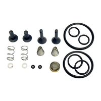 CPS TR21X1 CPS TR21 Oilless Compressor Valve Rebuild Kit