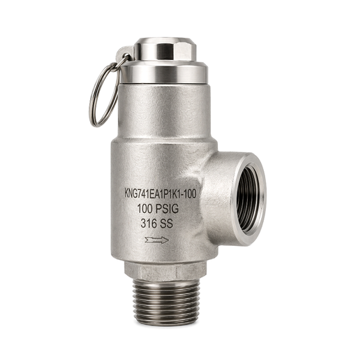 ASME Pressure Relief Valve | KNG741EA1P1K1-100 | 1/2" MNPT Inlet x 1" FNPT Outlet | 100 PSI