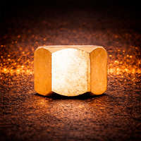 Brass Nuts - New High Quality
