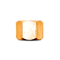Brass Nuts - New High Quality