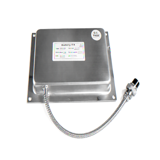 C1D1 Scale Battery