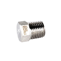 MNPT Hex Plug