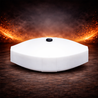 Rare Earth Oval Stir Bars