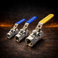 SS316 FNPT Ball Valve