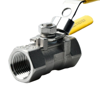 SS316 FNPT Ball Valve