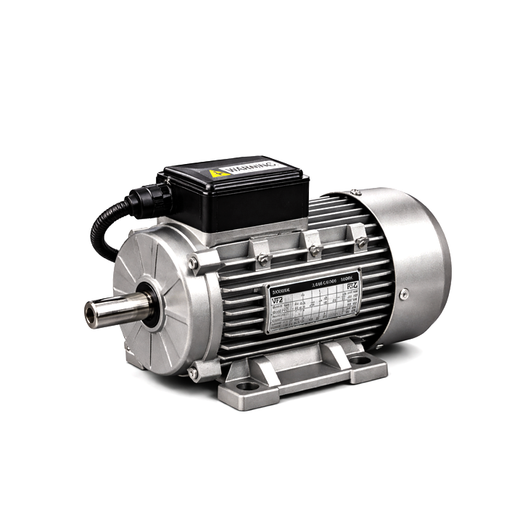 VP21 1ph Motor