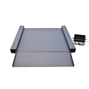 C1D1 Explosion Proof Platform Scale with Ramp