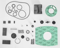 Xtractor Depot - VP21 Rebuild Kit
