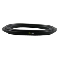 Unflanged FKM Fluoroelastomer Tri-Clamp Gasket